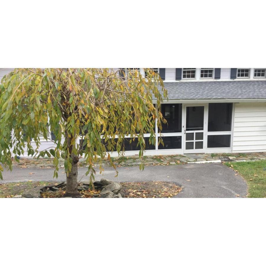 Interlake Rv Park & Campground 莱茵贝克 外观 照片